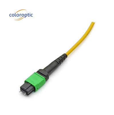 MTP APC Cables ópticos de mujer a mujer 10/40G SM 3M PVC / LSZH