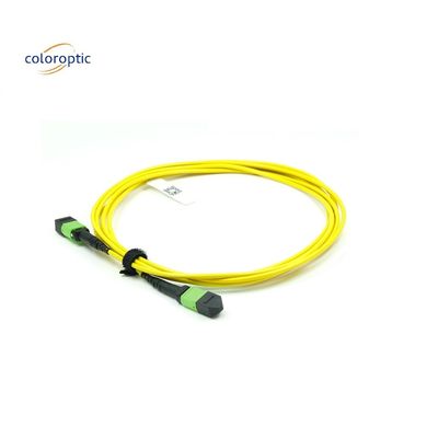 OM3 MPO Cordón de parche 12 Conector de fibra óptica acuática de núcleo para una red eficiente