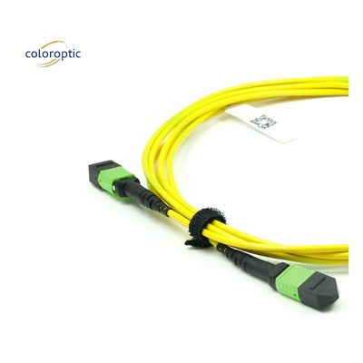 Cable óptico MPO de modo único de fibra OM3 con chaqueta de PVC