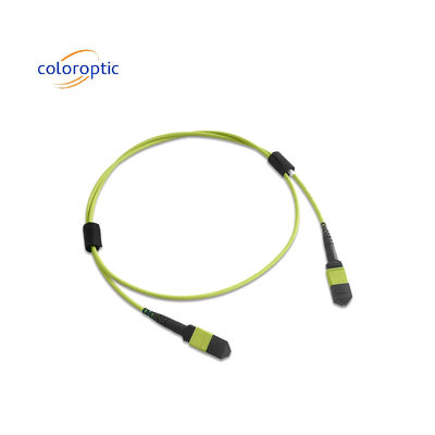 Multi fibra MPO Cordón de parche PVC chaqueta 12 núcleo OM5 Conector PC de mujer a mujer pulido