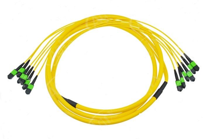 12 núcleos MPO Cable de parche de fibra para interconexión de cableado de centro de datos