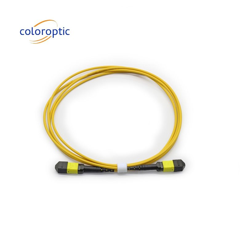 MTP APC Cables ópticos de mujer a mujer 10/40G SM 3M PVC / LSZH