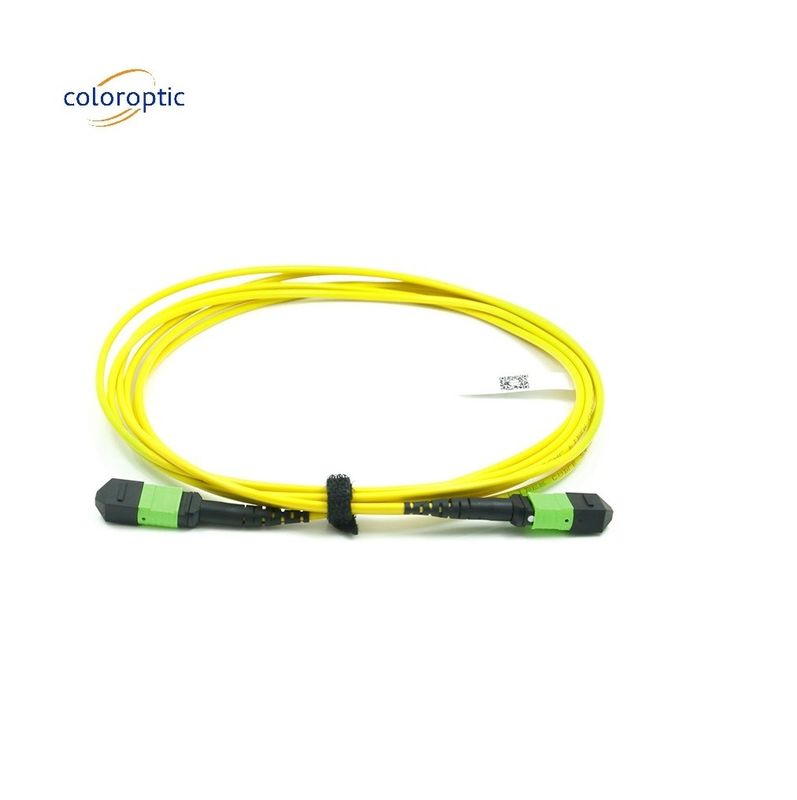 Cordón de parche de modo único óptico pasivo MPO-12 / APC-A-MPO12 / APC