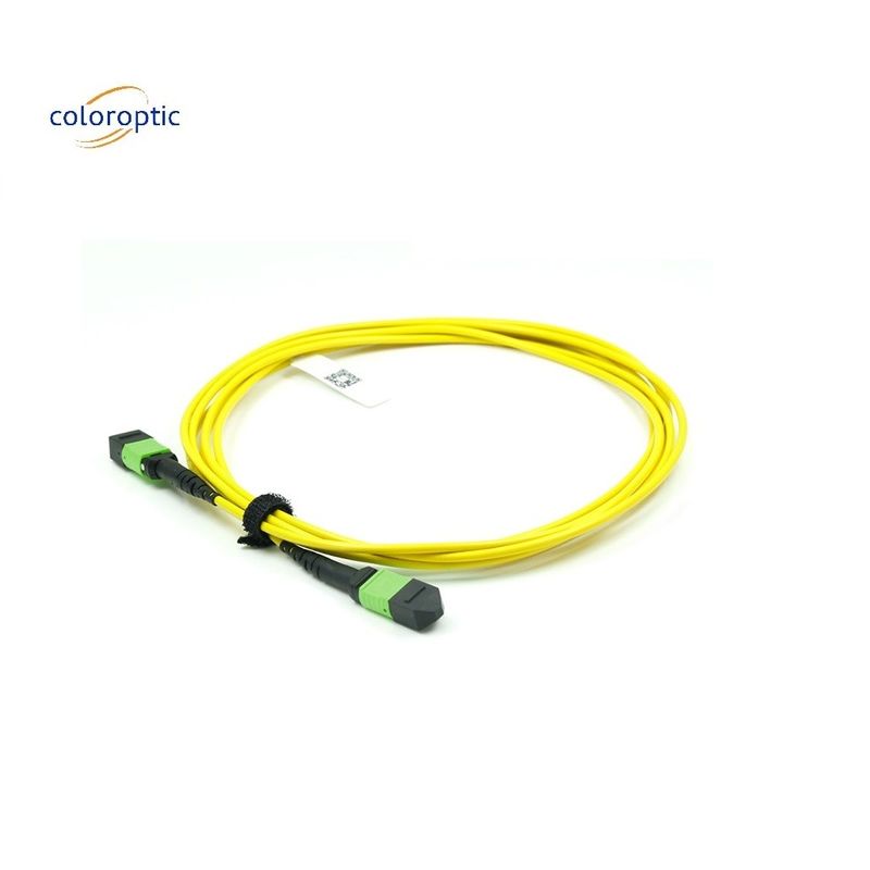 OM3 MPO Cordón de parche 12 Conector de fibra óptica acuática de núcleo para una red eficiente