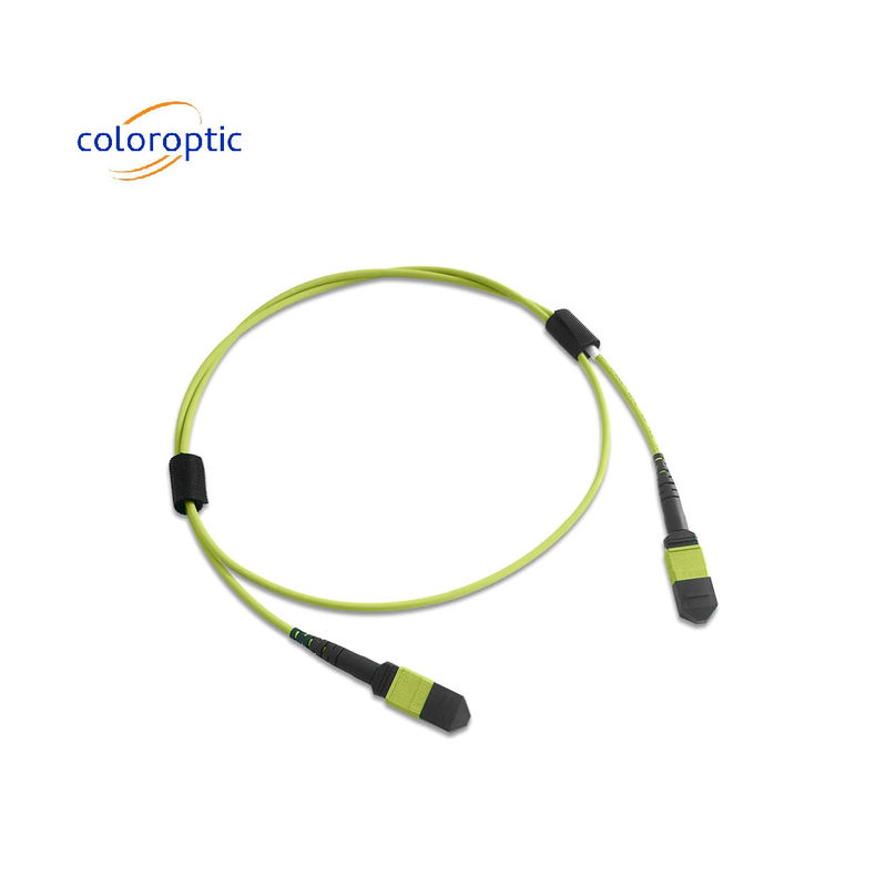 Multi fibra MPO Cordón de parche PVC chaqueta 12 núcleo OM5 Conector PC de mujer a mujer pulido
