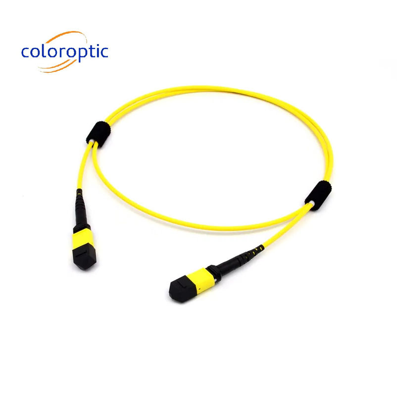 MTP de fibra de modo múltiple MPO 16 FIBRA OM5 (50/125) CABLE de parche para SR8 400G QSFP-DD y OSFP 400G SR8 PAM4